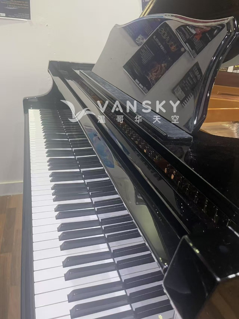 250514172848_小三角 Knabe 5.jpg